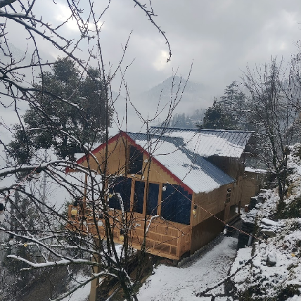 Into The Woods Treehouse